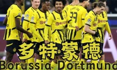 开yun体育官网入口登录体育-多特蒙德主教练表示球队需要调整阵容，争取更好成绩的简单介绍