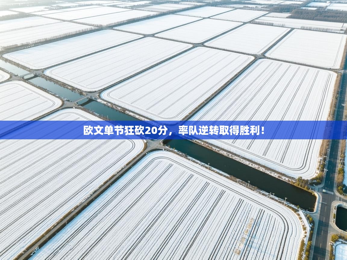 欧文单节狂砍20分，率队逆转取得胜利！  第2张