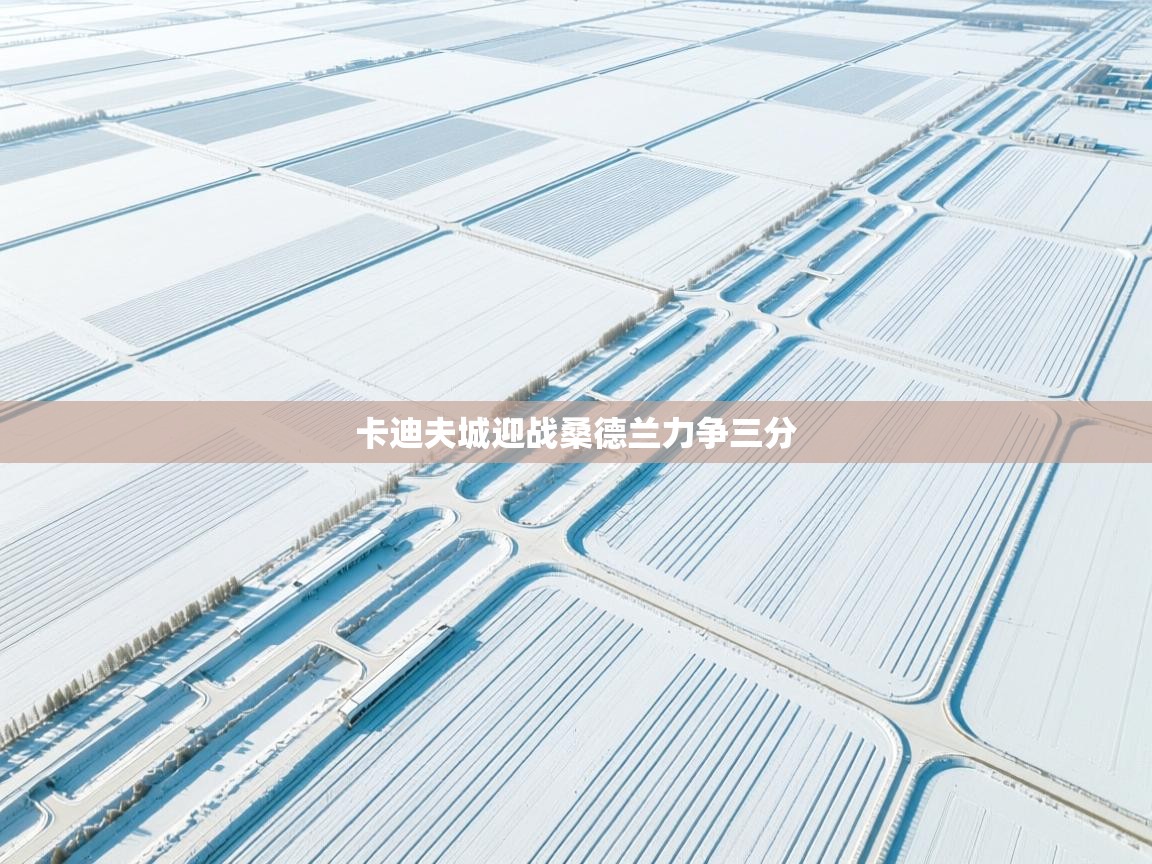 卡迪夫城迎战桑德兰力争三分  第2张