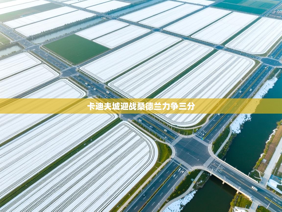 卡迪夫城迎战桑德兰力争三分  第1张