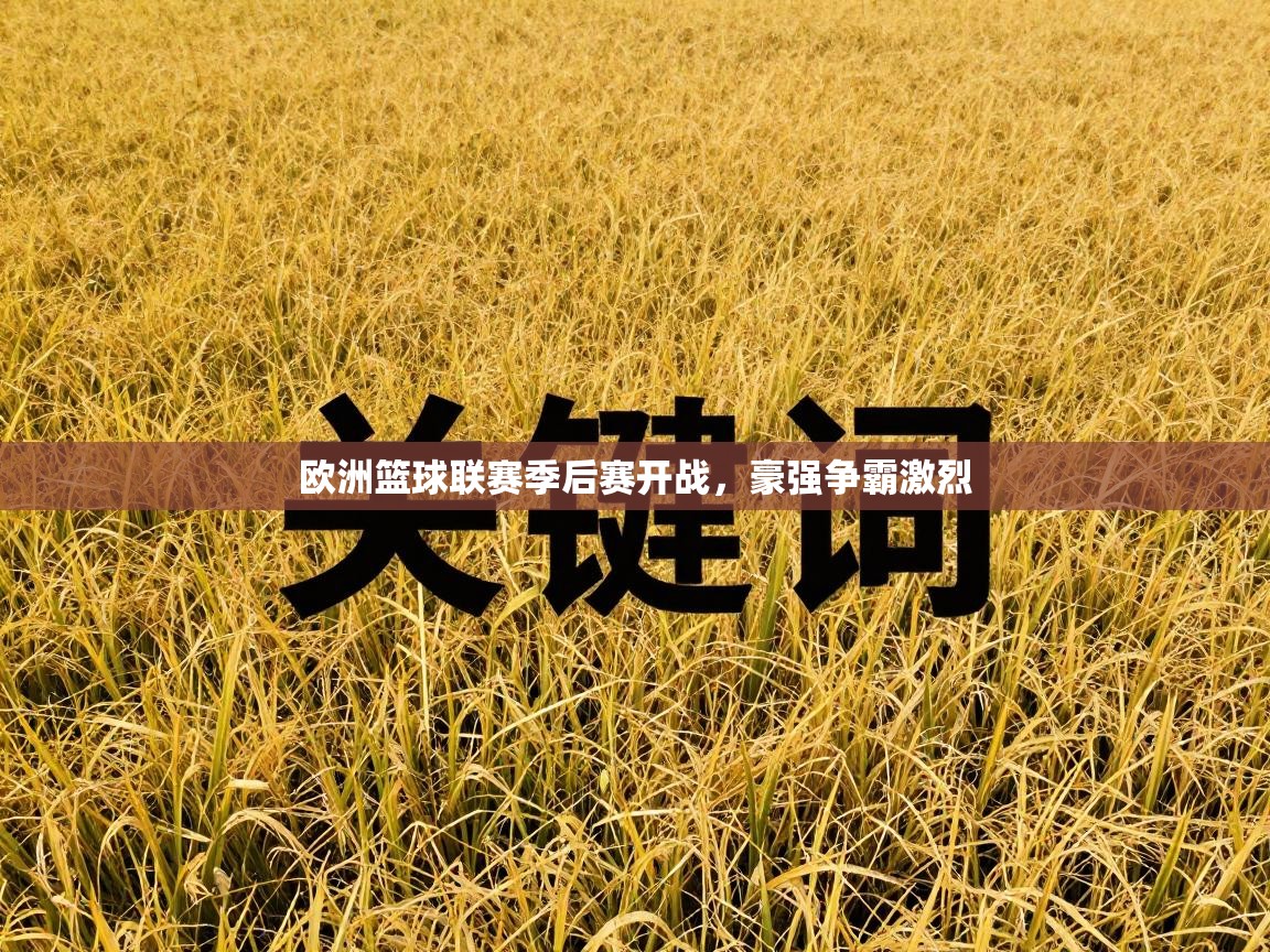 欧洲篮球联赛季后赛开战，豪强争霸激烈  第2张