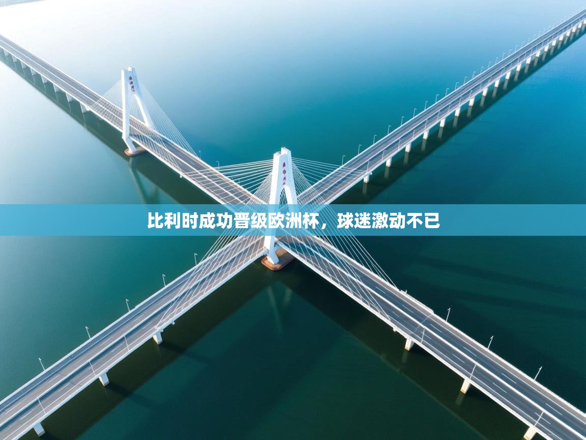 比利时成功晋级欧洲杯，球迷激动不已  第2张